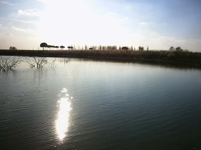 Foto de Las Mesas (Cuenca), España