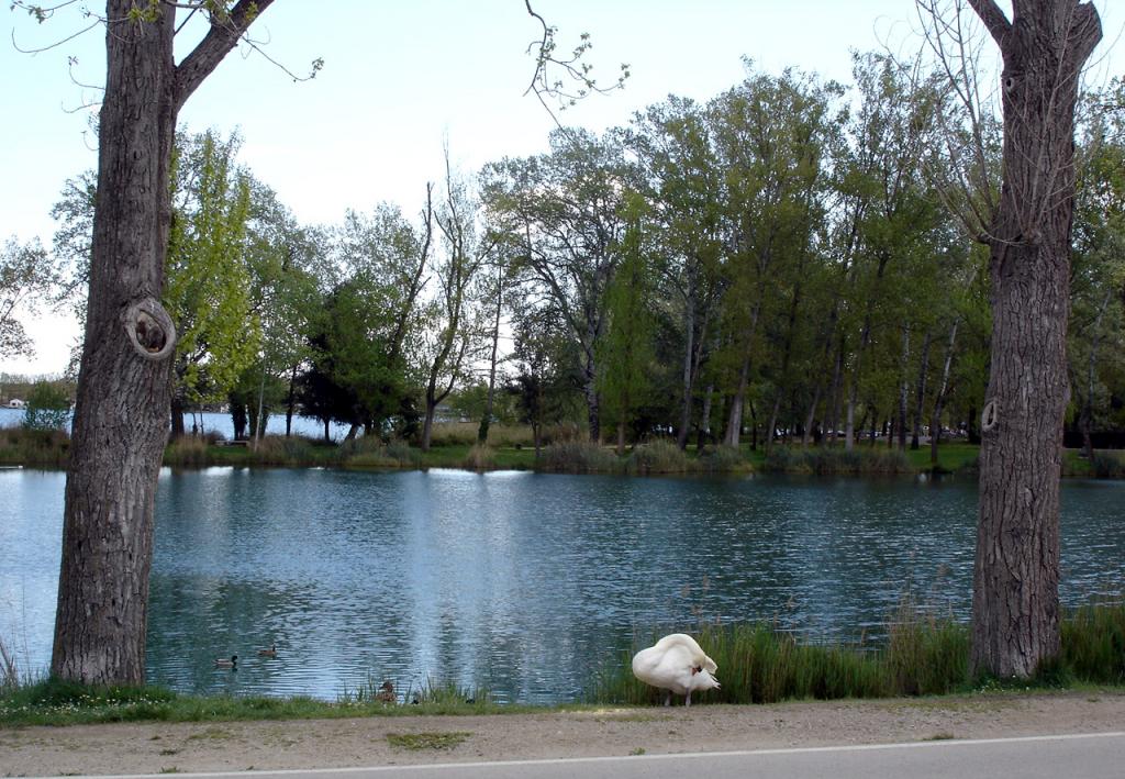 Foto de Banyoles (Girona), España