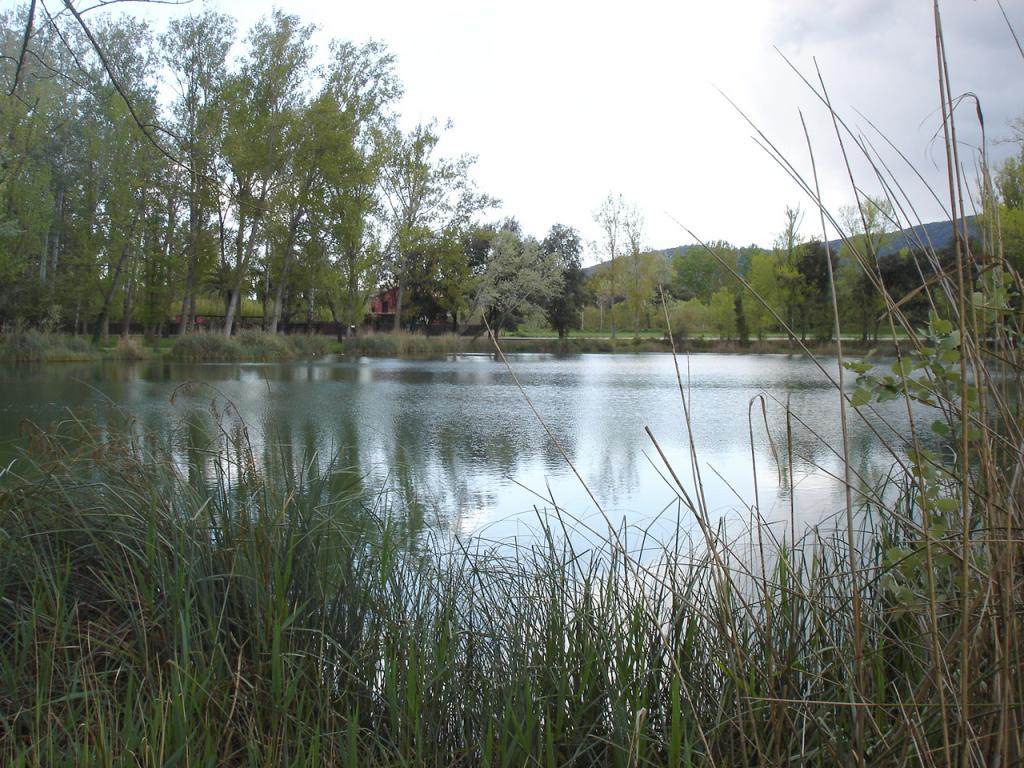 Foto de Banyoles (Girona), España