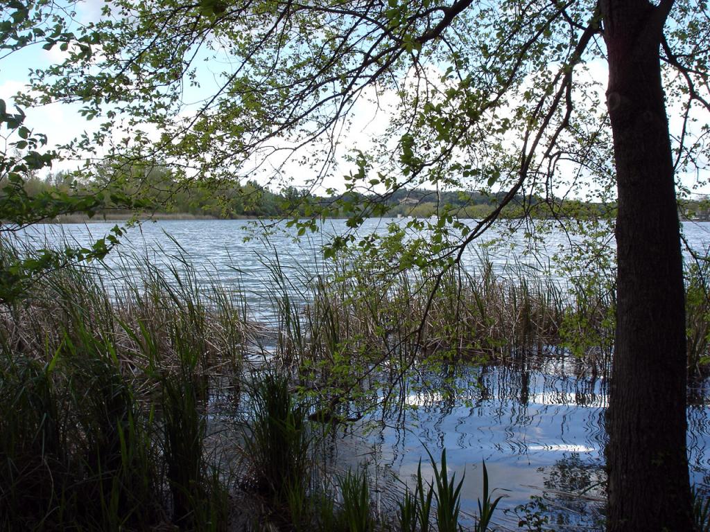 Foto de Banyoles (Girona), España