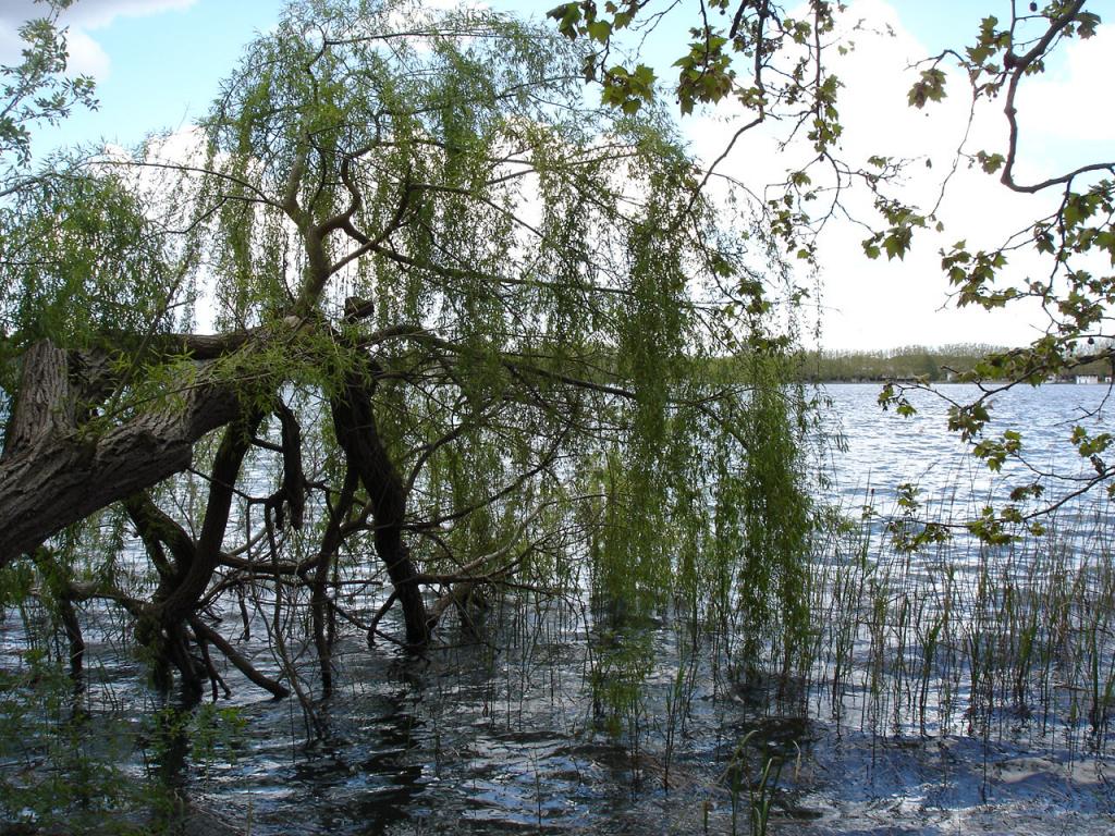 Foto de Banyoles (Girona), España