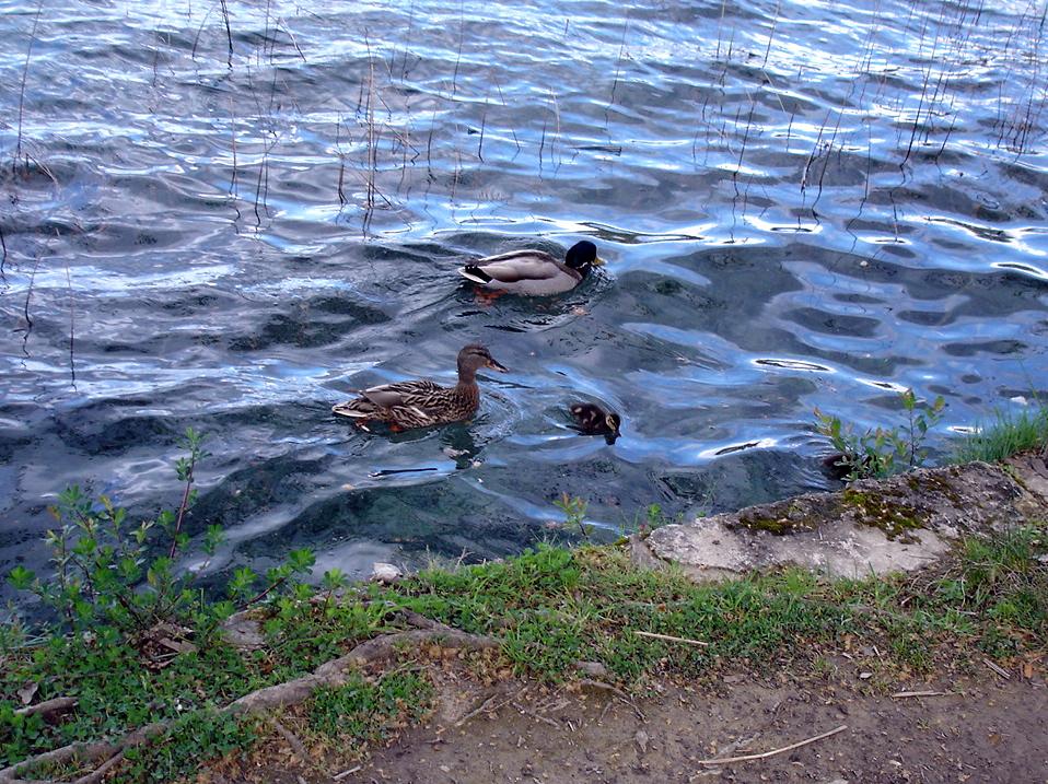 Foto de Banyoles (Girona), España