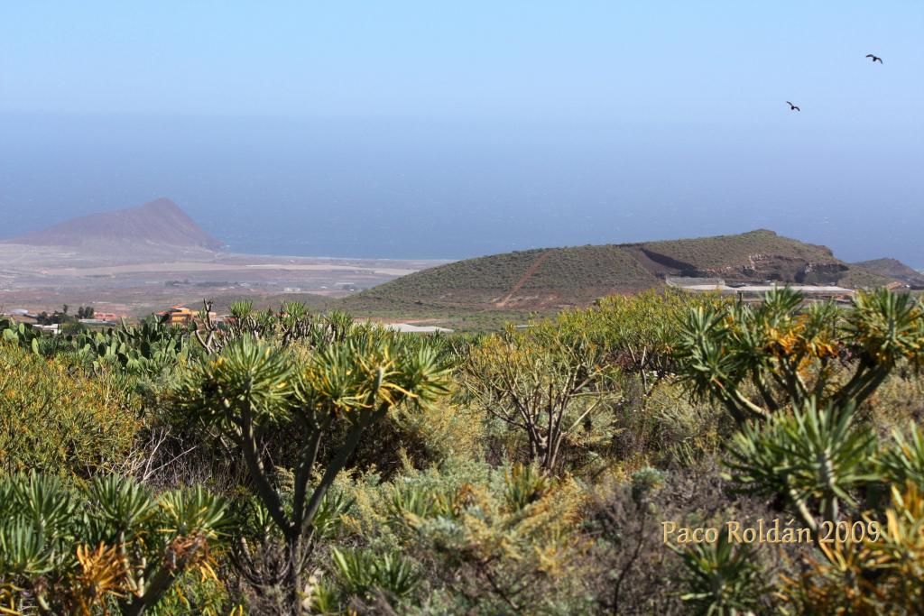 Foto de Granadilla de Abona (Santa Cruz de Tenerife), España