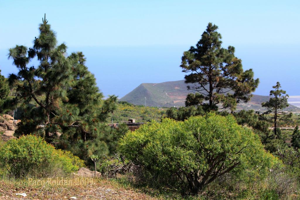 Foto de Granadilla de Abona (Santa Cruz de Tenerife), España
