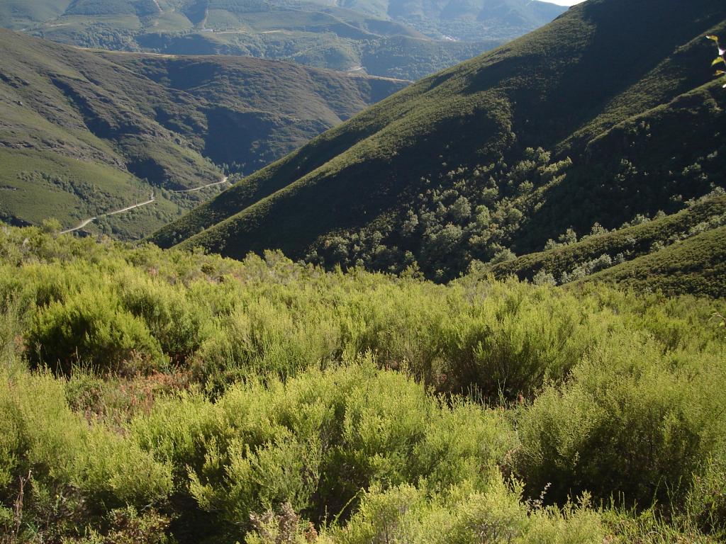 Foto de Courel (Lugo), España
