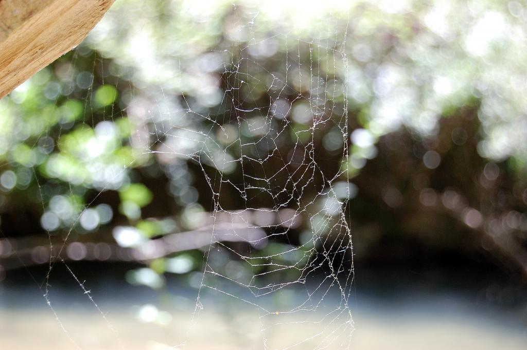 Foto de Sepúlveda (Segovia), España