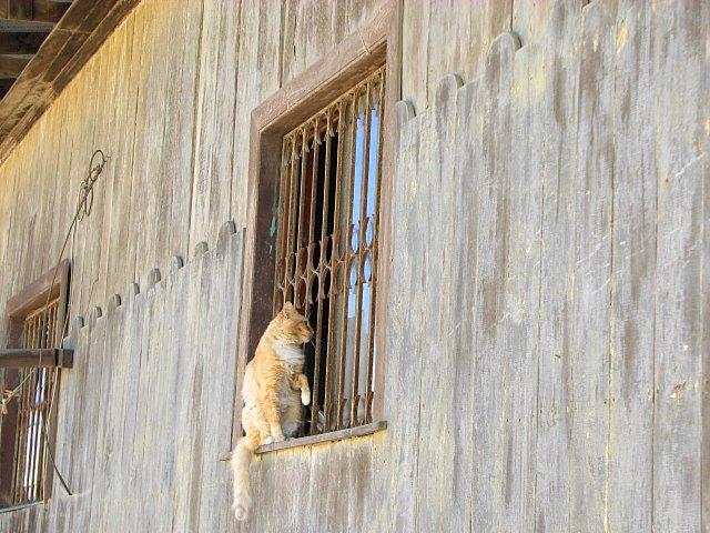 Foto de Valparaíso, Chile