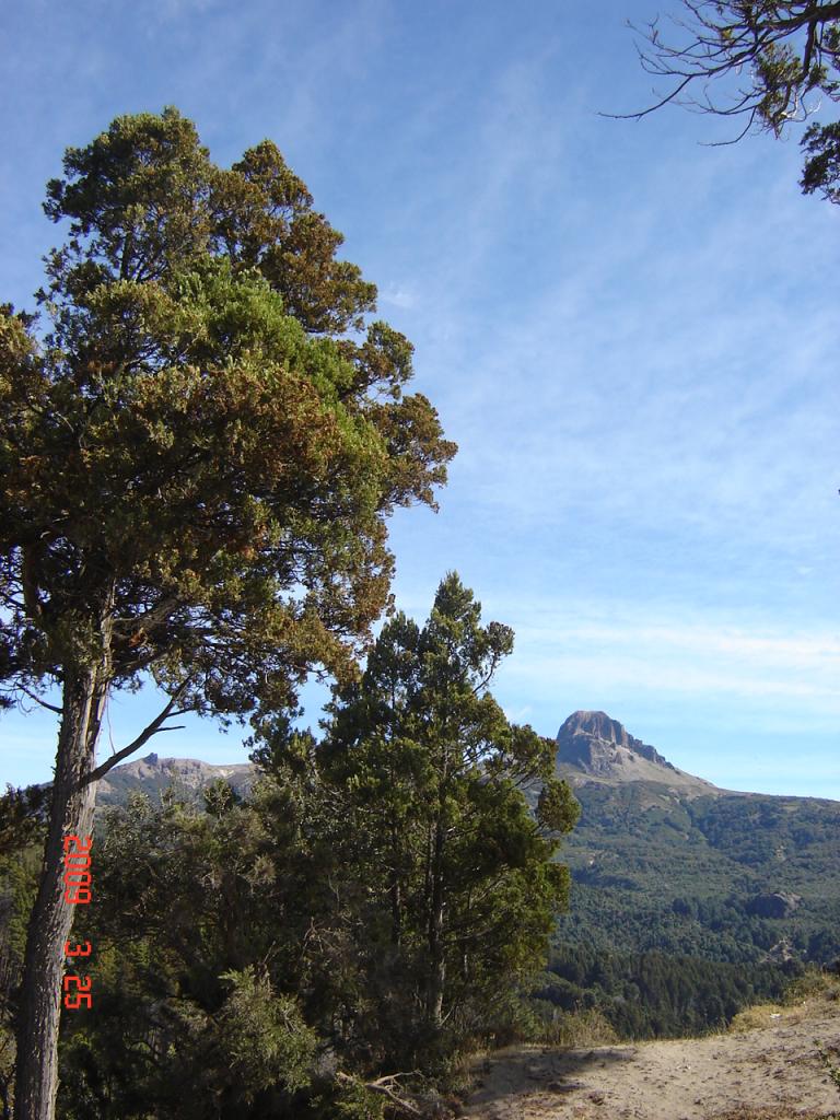 Foto de San Martín de los Andes (Neuquén), Argentina