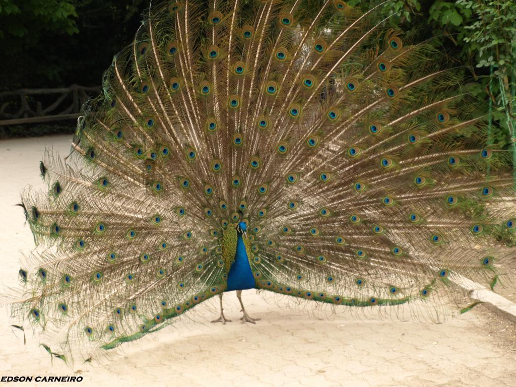 Foto de Valladolid (Castilla y León), España