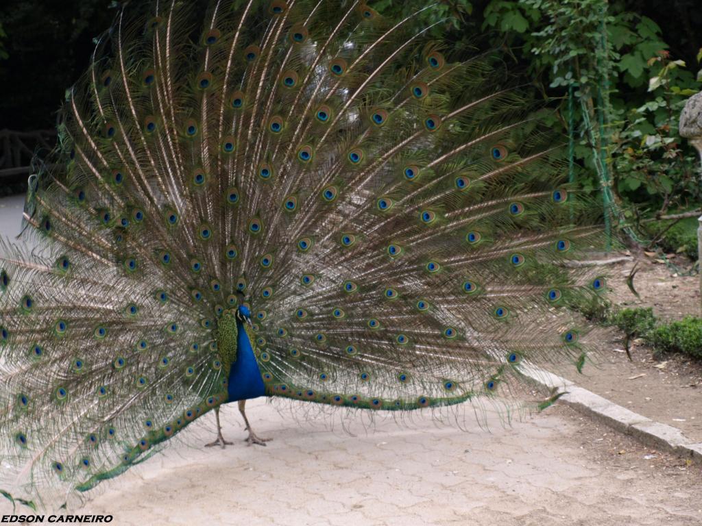 Foto de Valladolid (Castilla y León), España