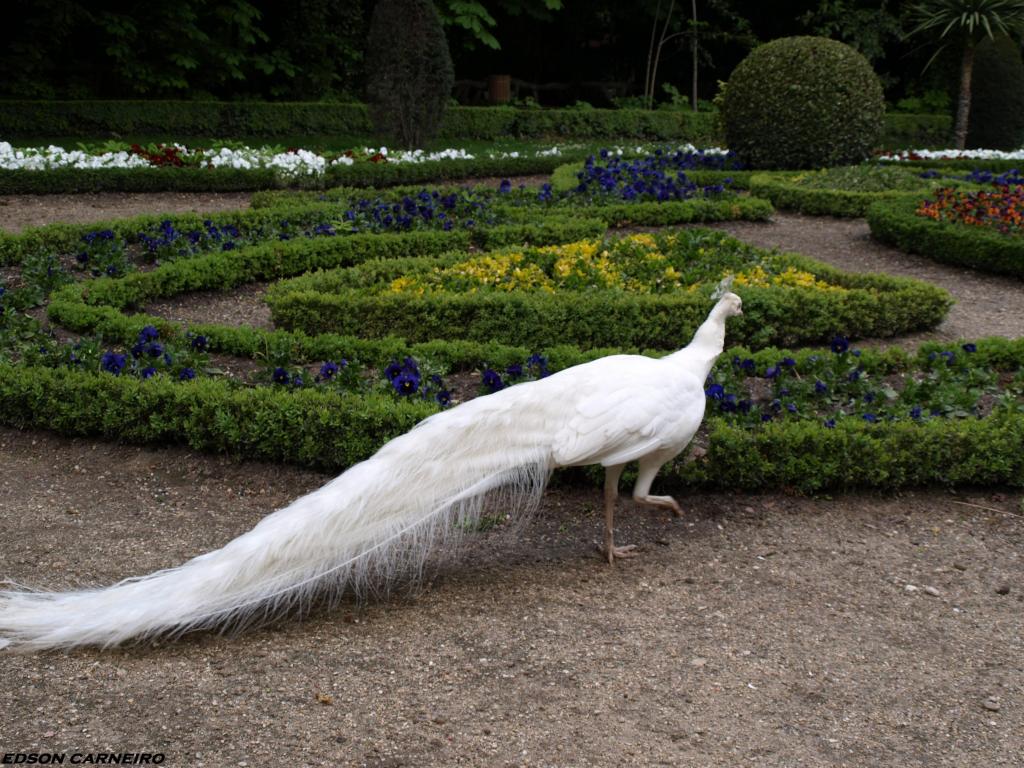 Foto de Valladolid (Castilla y León), España