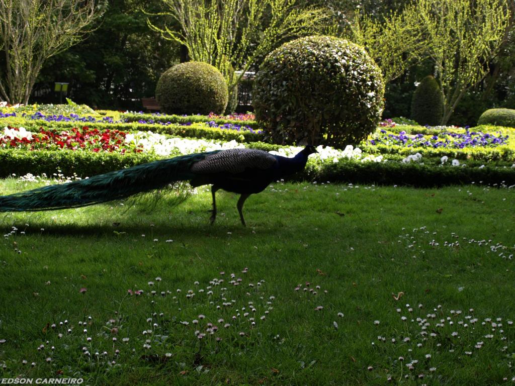 Foto de Valladolid (Castilla y León), España