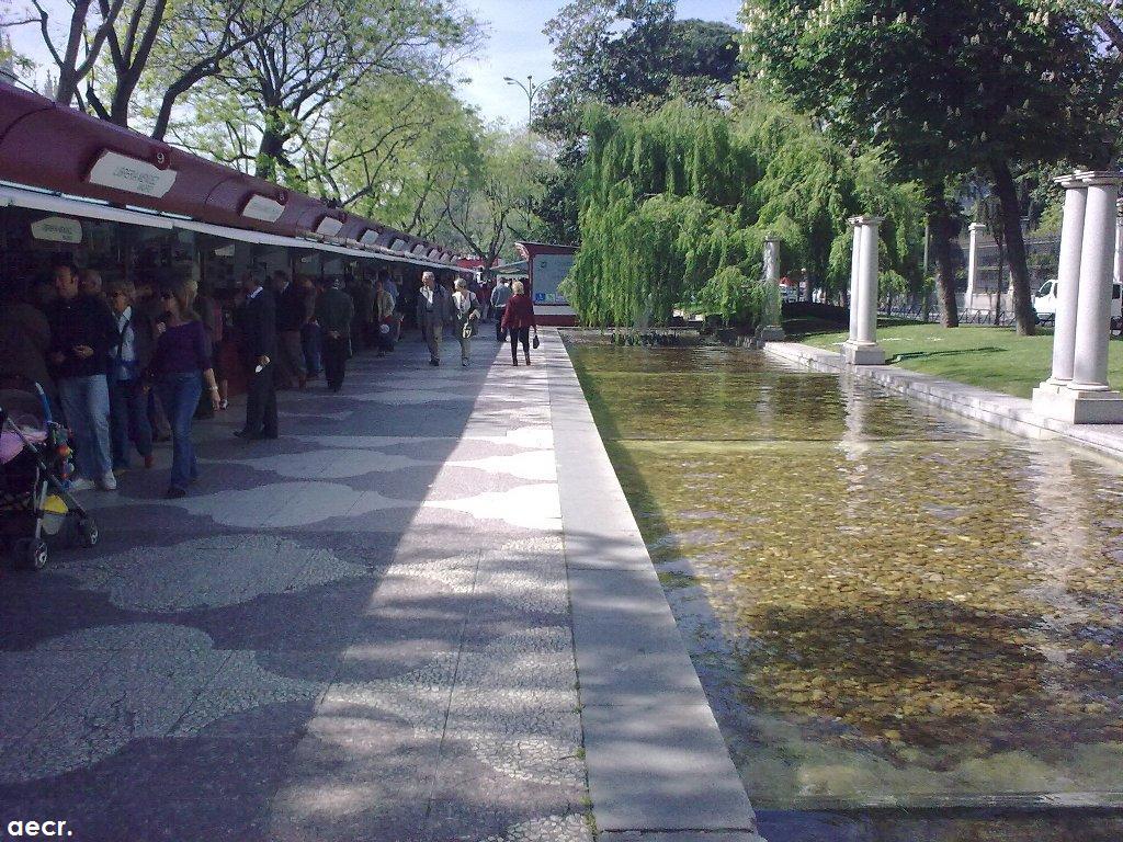 Foto de Madrid (Comunidad de Madrid), España