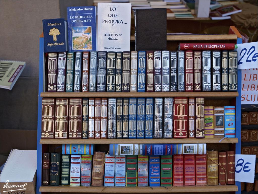 Foto de Zaragoza (Aragón), España