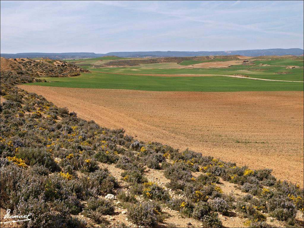 Foto de Torrehermosa (Zaragoza), España