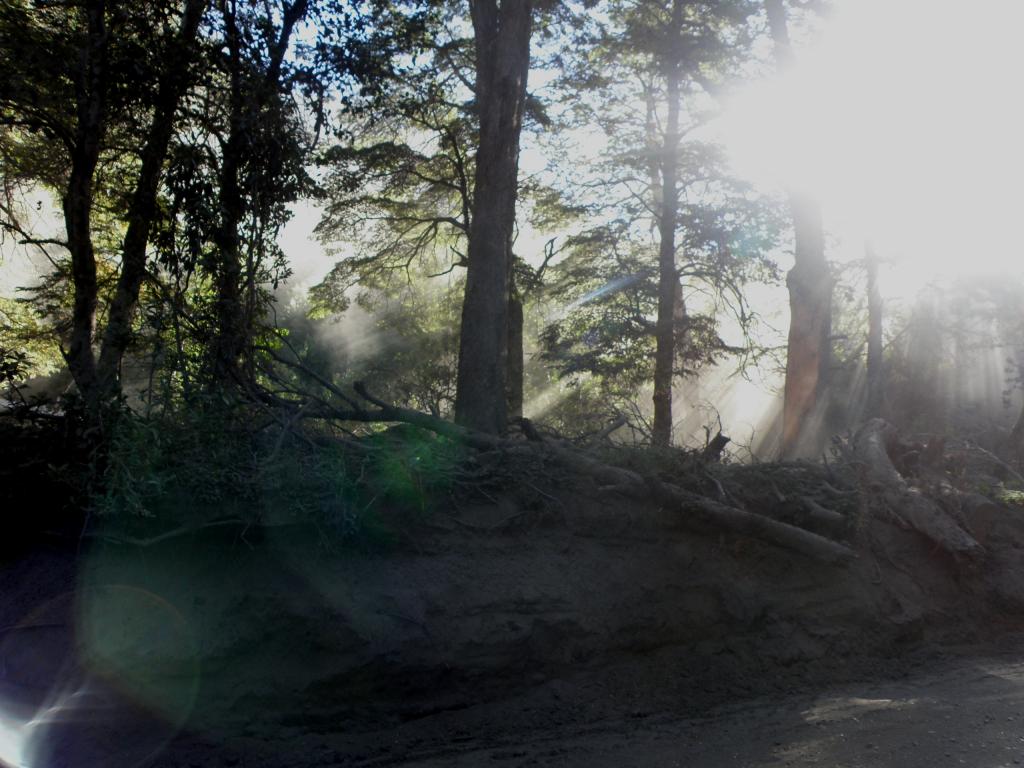 Foto de Villa Traful (Neuquén), Argentina