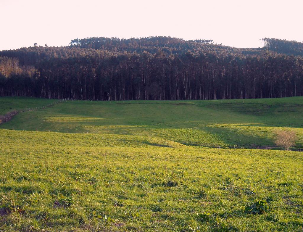 Foto de Parbayon (Cantabria), España
