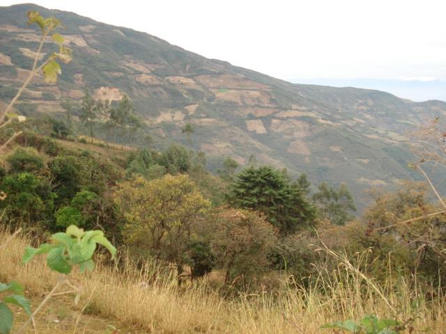Foto de Ayabaca, Perú