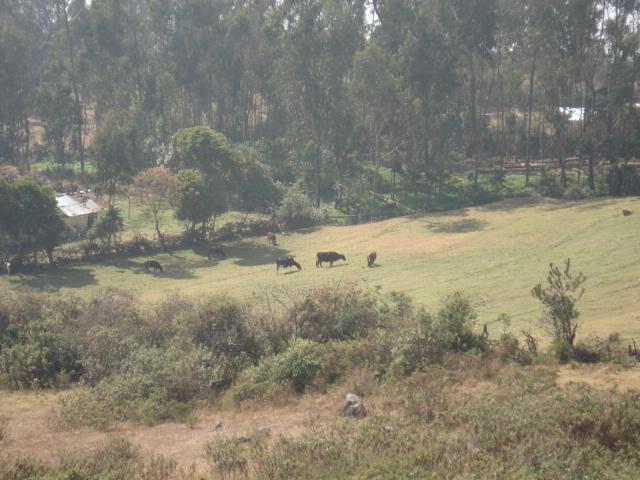 Foto de Ayabaca, Perú