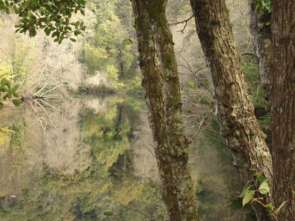 Foto de Betanzos (A Coruña), España