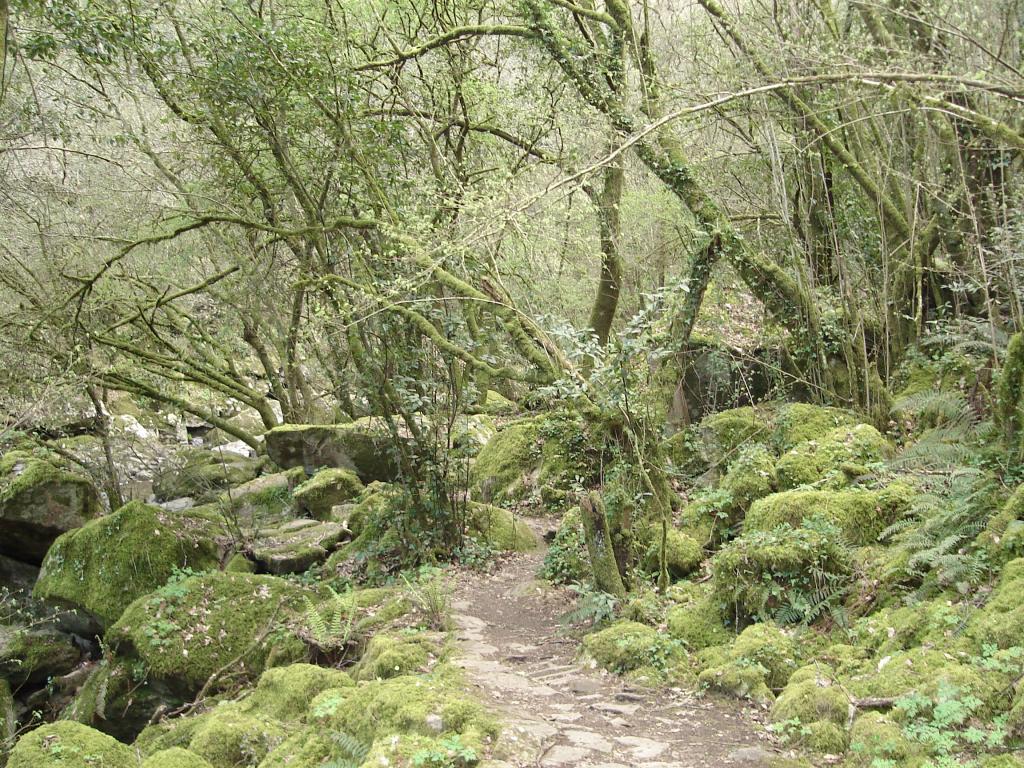 Foto de Silleda (Pontevedra), España