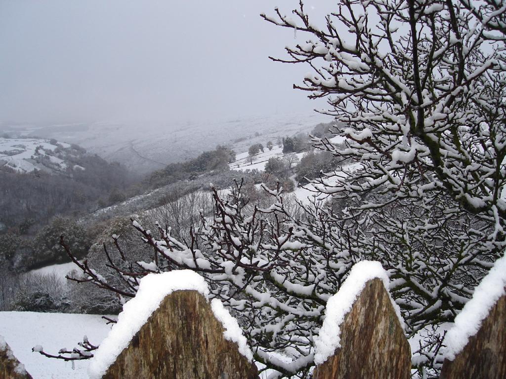 Foto de Samos (Lugo), España