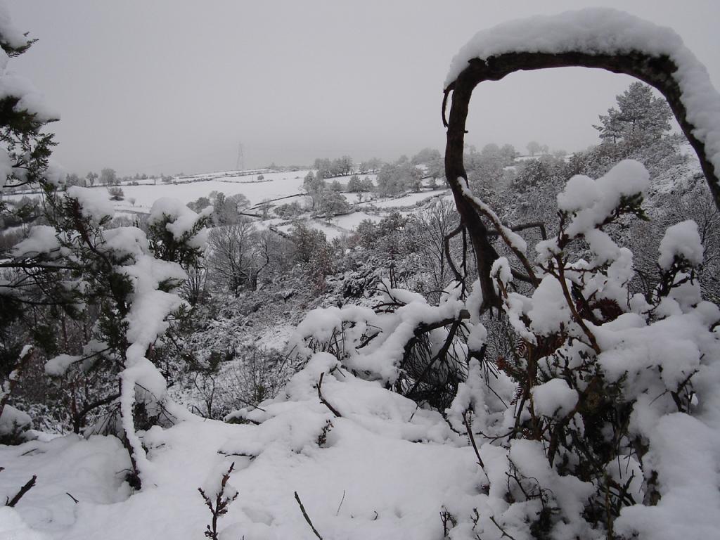 Foto de Samos (Lugo), España
