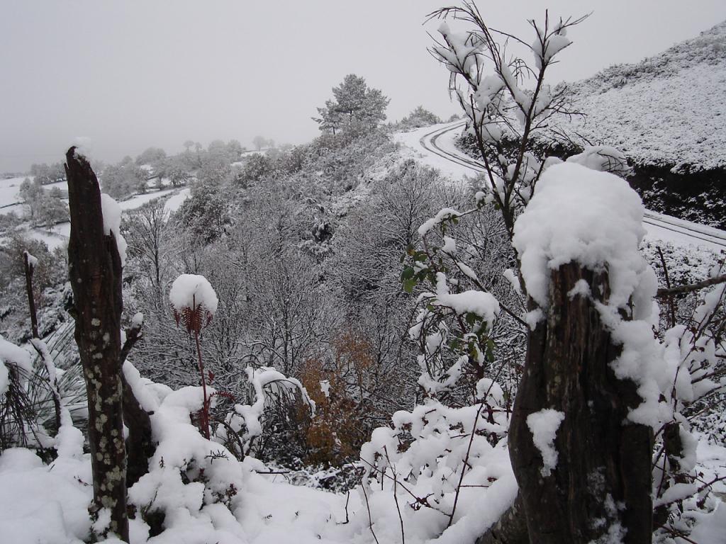 Foto de Samos (Lugo), España