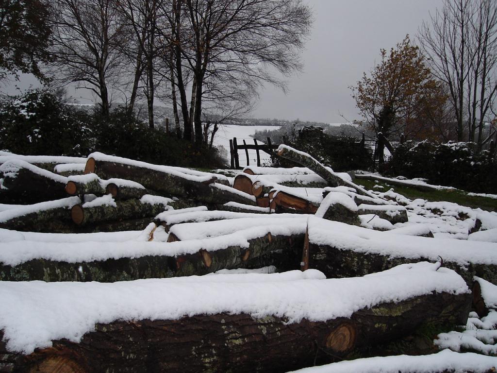 Foto de Samos (Lugo), España