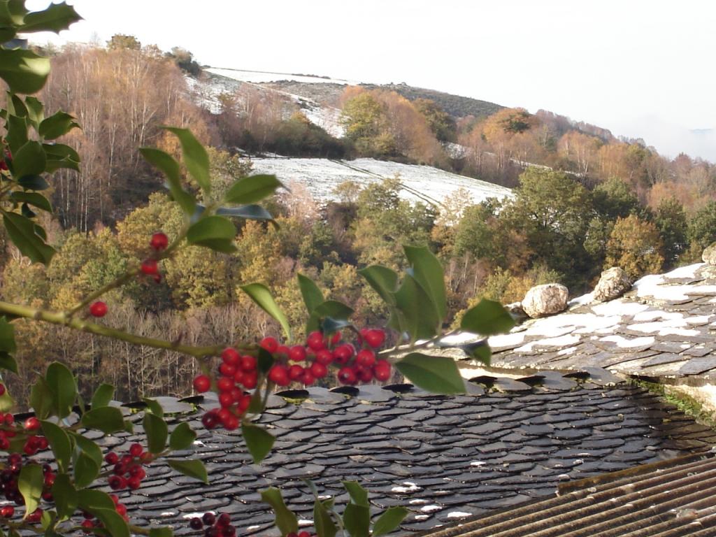 Foto de Samos (Lugo), España
