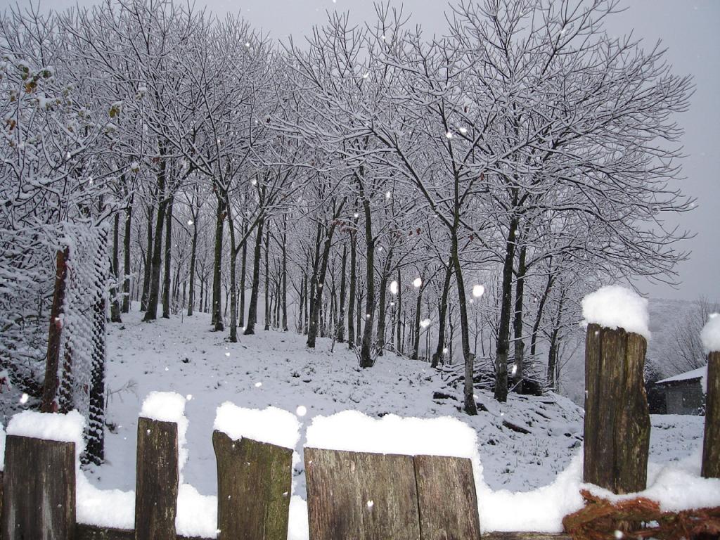 Foto de Samos (Lugo), España