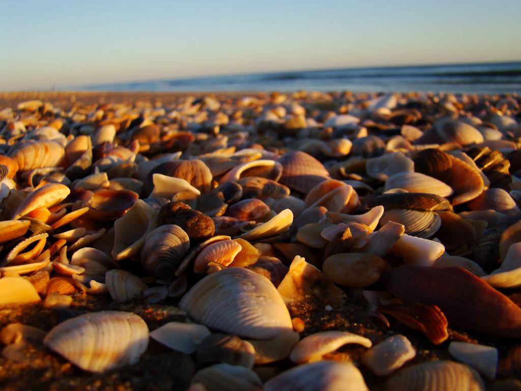 Foto de Punta Umbría (Huelva), España