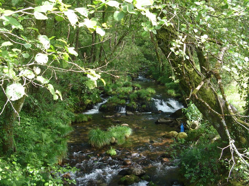 Foto de Cerdedo (Pontevedra), España