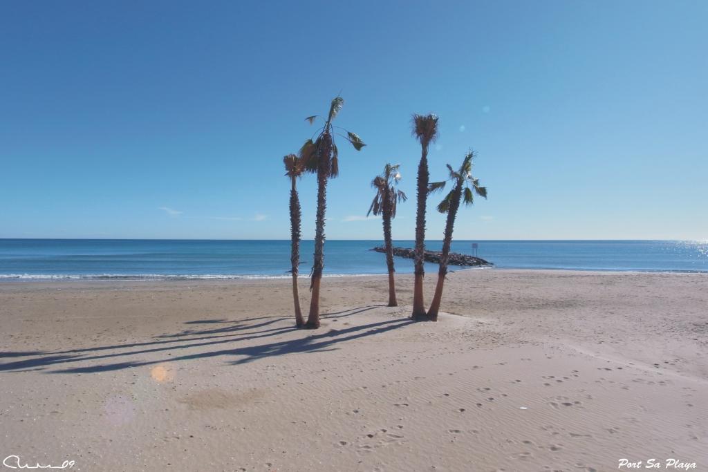 Foto de Valencia (València), España