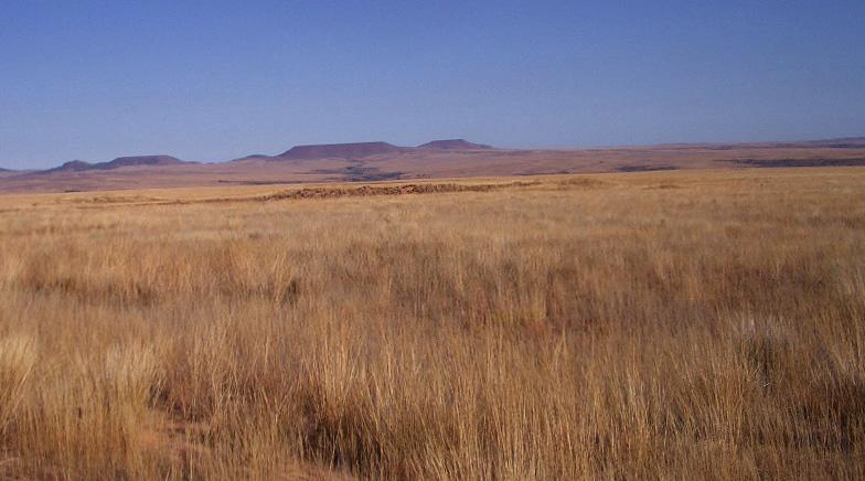 Foto de Sakaraha, Madagascar