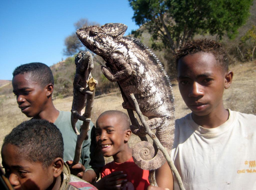 Foto de Andranovory, Madagascar