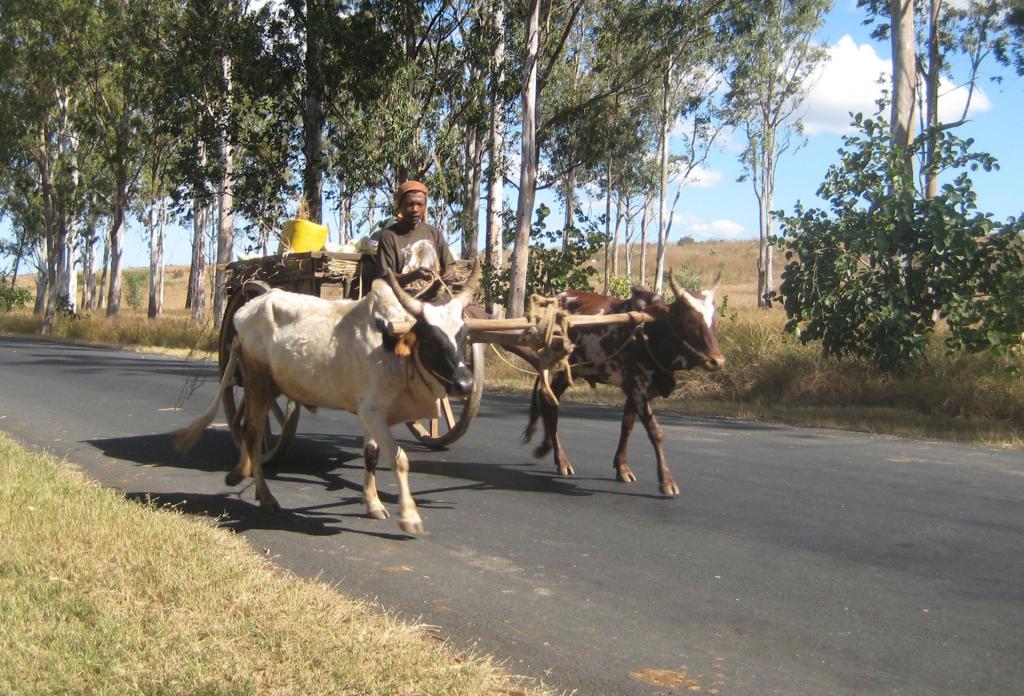 Foto de Toliara, Madagascar