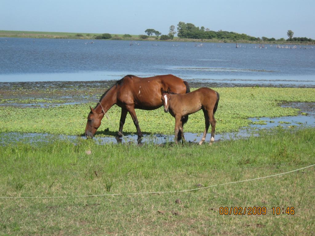 Foto de Centro Poblado Mones Quintela, Uruguay