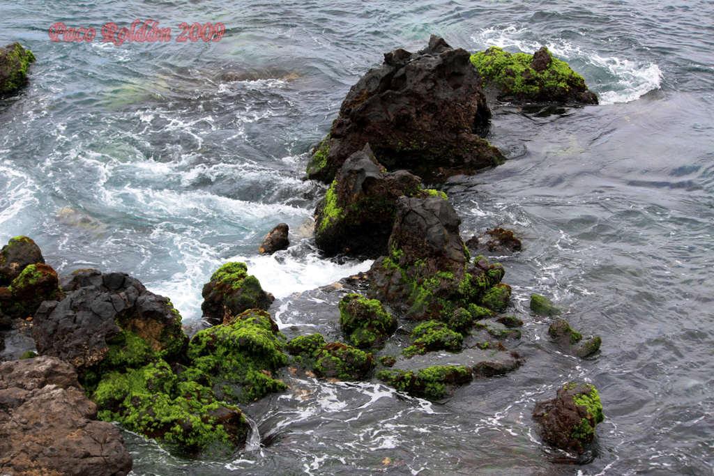Foto de Playa San Juan (Santa Cruz de Tenerife), España