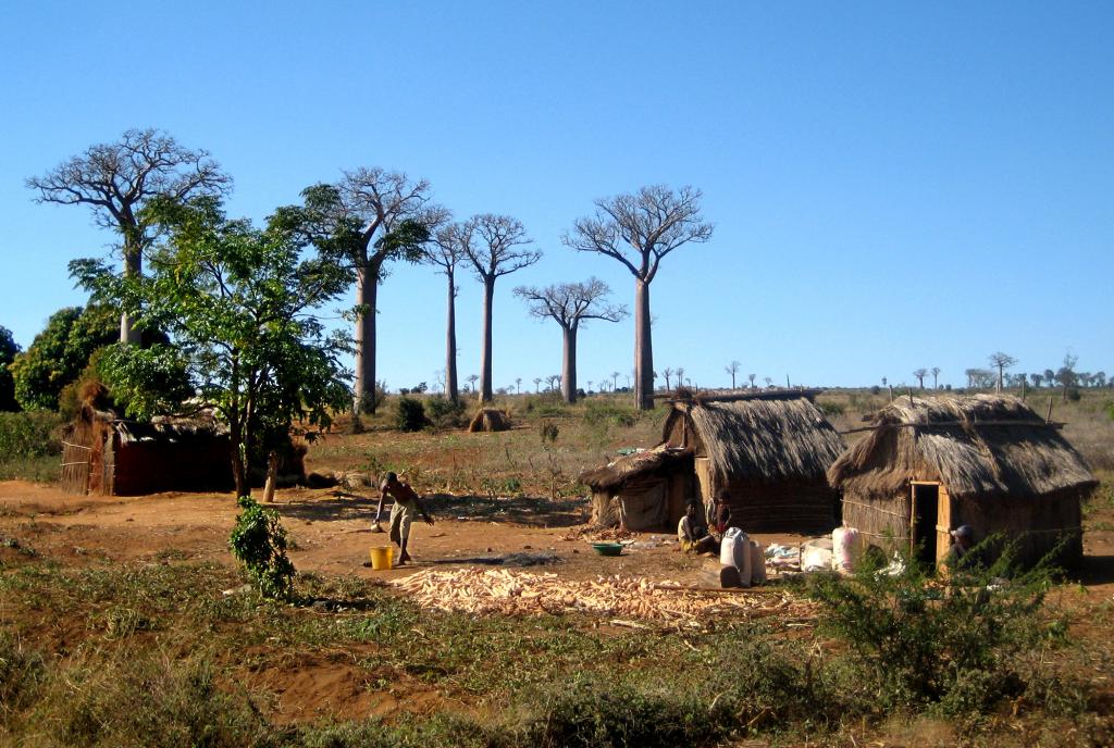 Foto de Ranomaintso, Madagascar