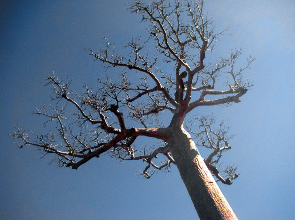 Foto de Ranomaintso, Madagascar