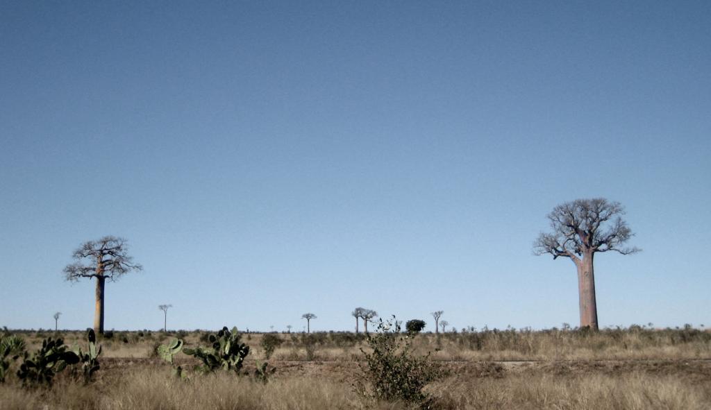 Foto de Ranomaintso, Madagascar