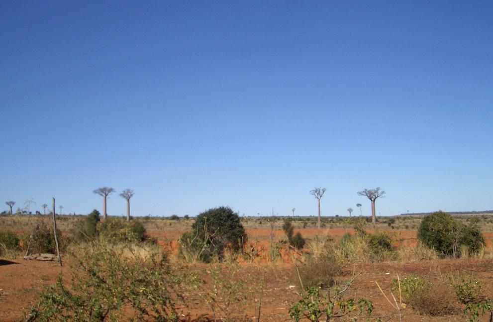 Foto de Sakaraha, Madagascar