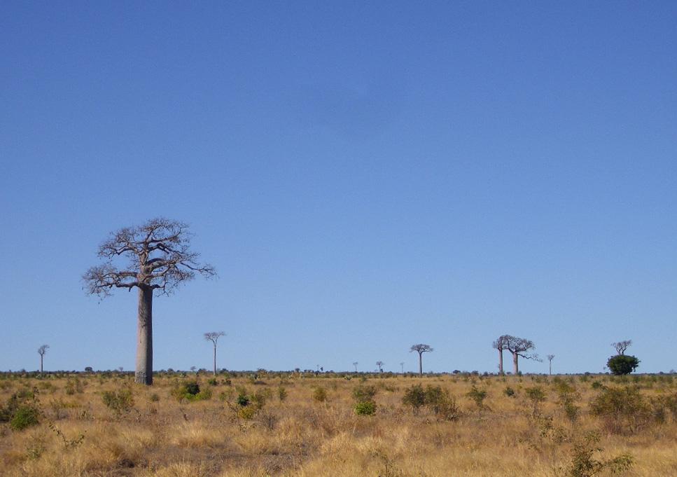 Foto de Toliara, Madagascar