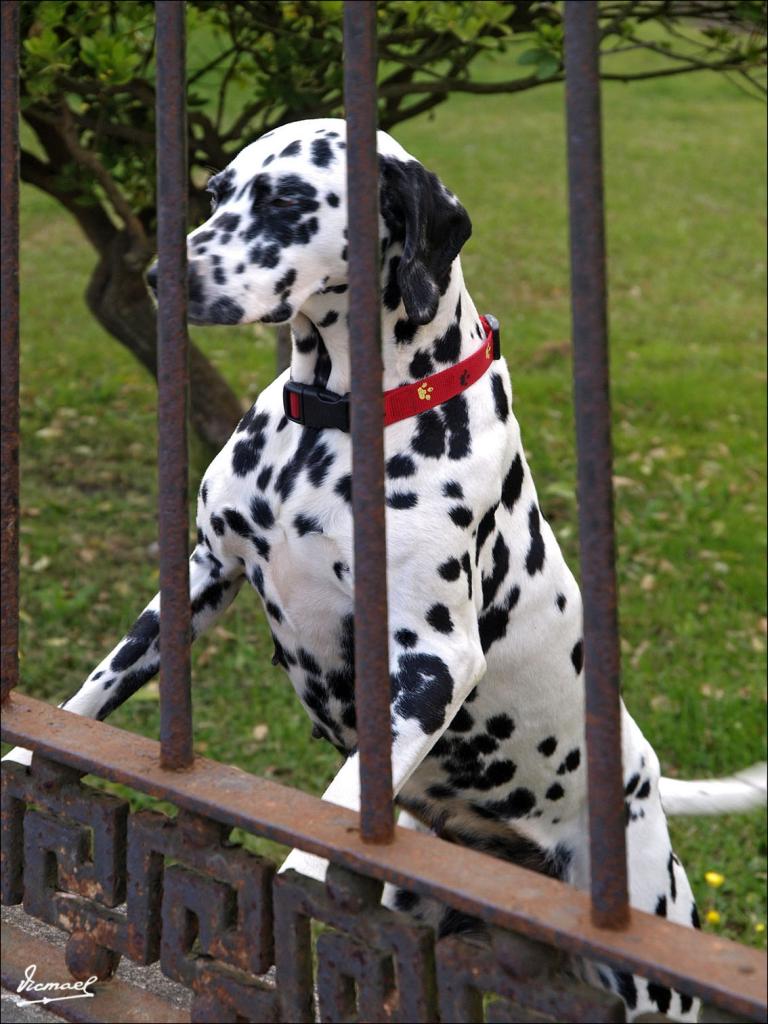 Foto de Laredo (Cantabria), España