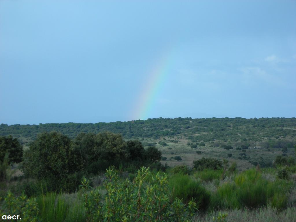 Foto de Valdemorillo (Madrid), España