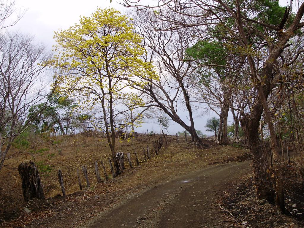 Foto de Guanacaste, Costa Rica
