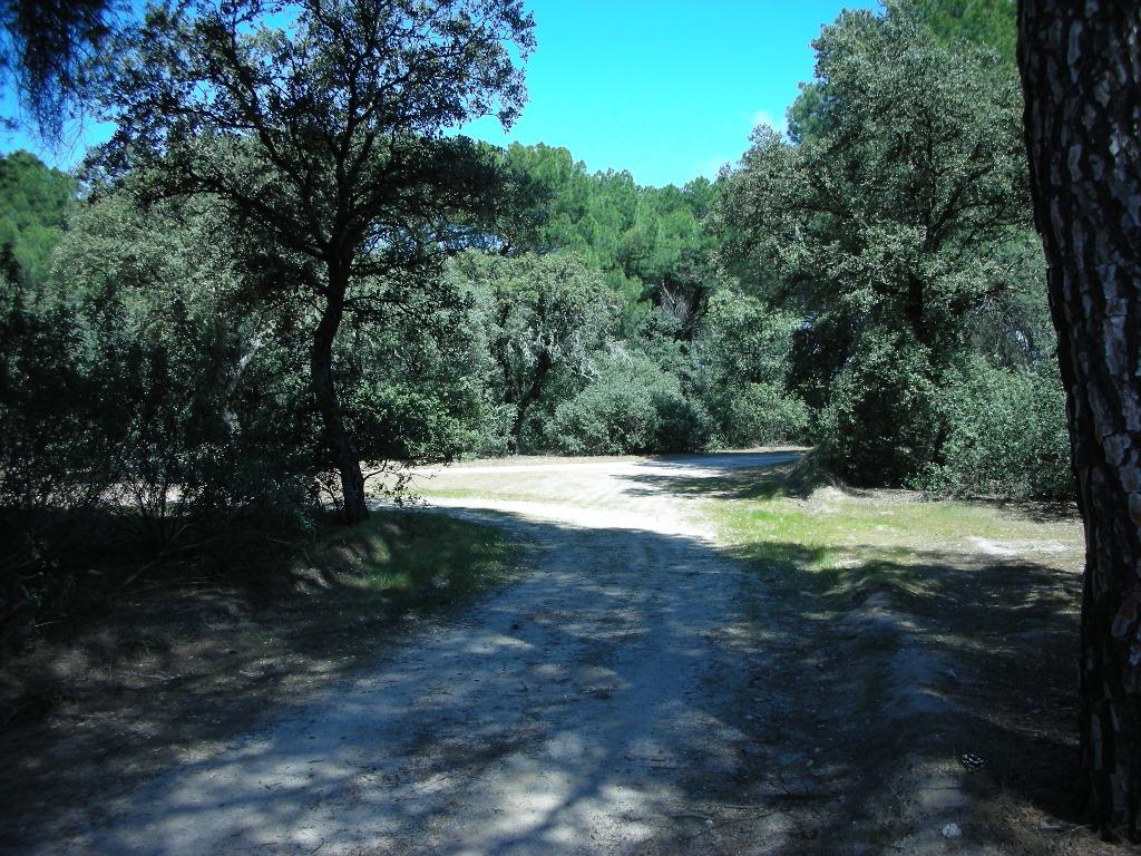 Foto de Majadahonda (Madrid), España