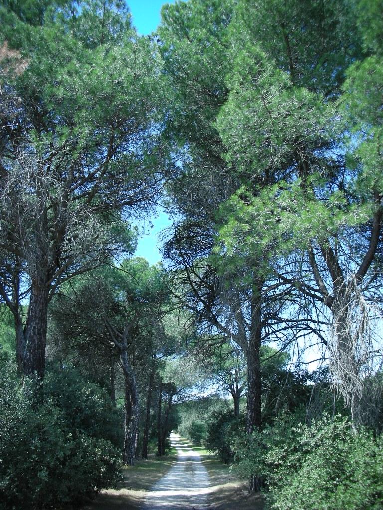 Foto de Majadahonda (Madrid), España