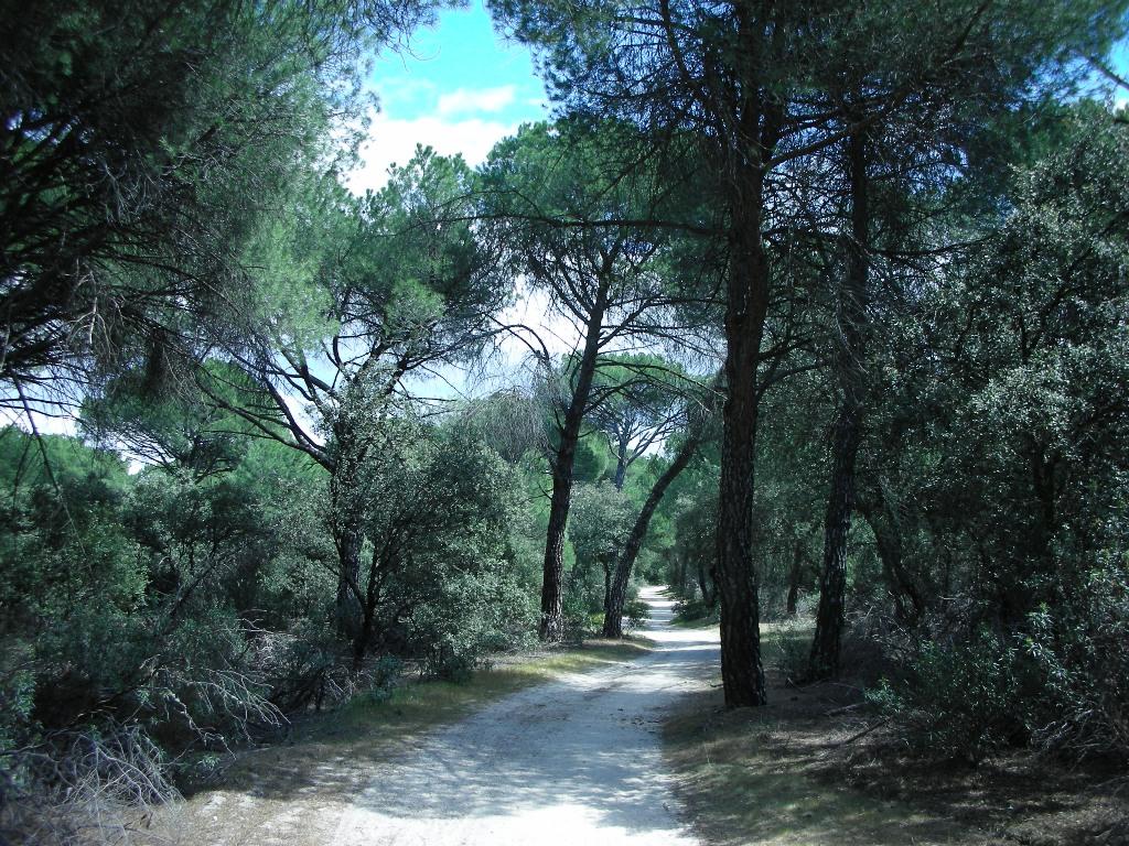 Foto de Majadahonda (Madrid), España